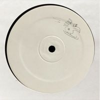 Nikki Nair - More Is Different