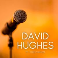 David Hughes - If I Had Wings
