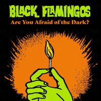 Black Flamingos - Are You Afraid of the Dark?