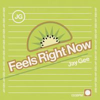 Jay Gee - Feels Right Now
