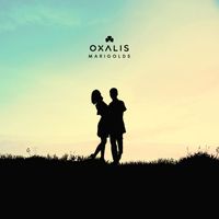Oxalis - Marigolds