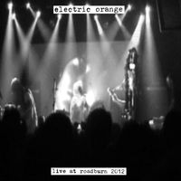 Electric Orange - Live at Roadburn 2012