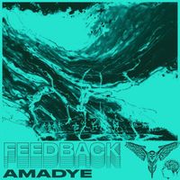 Amadye - Feedback