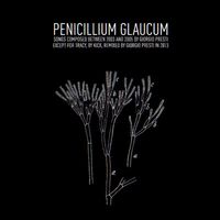 Giorgio Presti - Penicillium Glaucum (Explicit)