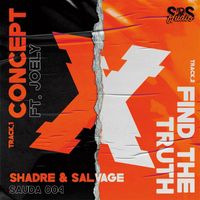 Shadre & Salvage - Concept & Find The Truth