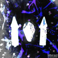 Lucius Light - Trip With Me