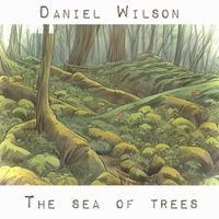 Daniel Wilson - The Sea of Trees