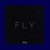 Bling - Fly