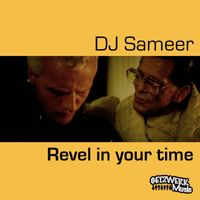 DJ Sameer - Revel In Your Time