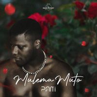 PAMI - Mulema Muto