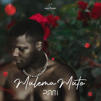 PAMI - Mulema Muto