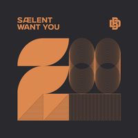 sælent - want you (Extended Mix)