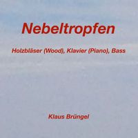 Klaus Bruengel - Nebeltropfen (Holzbläser, Klavier, Piano)