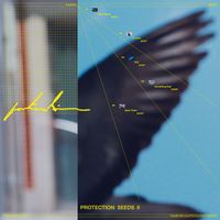 Protection - SEEDS II