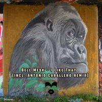 Bell Mesk - I Like That