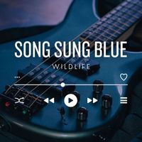 Wildlife - Song Sung Blue