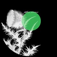 wants - we saw autechre in broad daylight