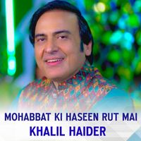 Khalil Haider - MOHABBAT KI HASEEN RUT MAI