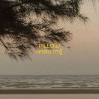 Pillow - แค่อยากรู้