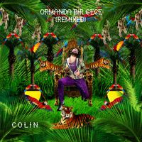 Colin - Ormanda Bir Gece (Remixed)