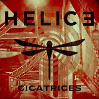 Helice - Cicatrices