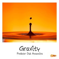 Predator Dub Assassins - Gravity