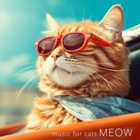 Music For Cats - Meow
