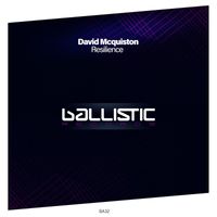 David McQuiston - Resilience