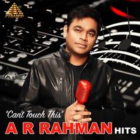A. R. Rahman - Can't Touch This A R Rahman Hits (Original Motion Picture Soundtrack)