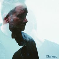 Wide Mouth Mason - Obvious