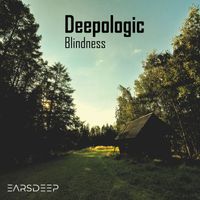 Deepologic - Blindness