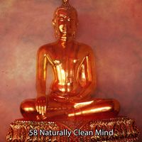 White Noise Research - 58 Naturally Clean Mind