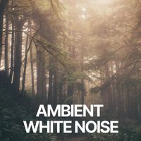 Ambient Nature White Noise - Ambient White Noise