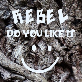 Rebel - Do You Like It (single version)