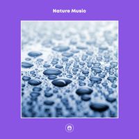 Rain Sounds Collection - Nature Music