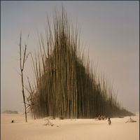 Ash Koosha - Life Is a Bamboo