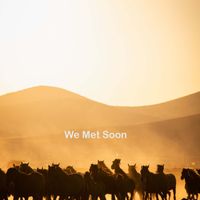 Saba - We Met Soon