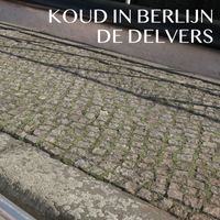 De Delvers - Koud in Berlijn