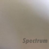 Werner Niedermeier - Spectrum