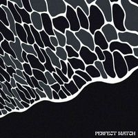 Dpsht, tenkousei. - Perfect Match