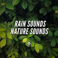ASMR - Rain Sounds Nature Sounds