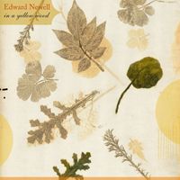 Edward Newell - In a Yellow Wood