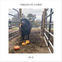 Dr. E - Chillin on a Farm