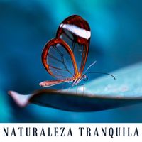 Madre Natura - Naturaleza Tranquila: Sonidos del Océano y de la Naturaleza para la Práctica de Yoga, Masaje y Meditación
