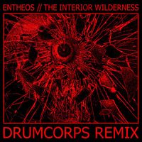 Entheos - The Interior Wilderness (Drumcorps Remix)