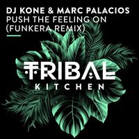 Dj Kone & Marc Palacios - Push the Feeling On (Funkera Remix)