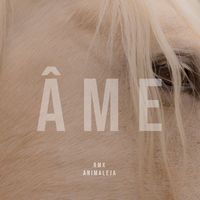 Animaleja - Âme (Remix)