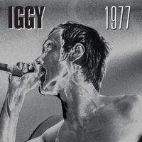 Iggy Pop - 1977