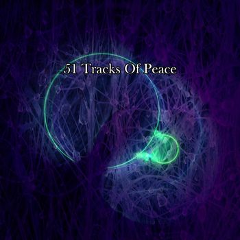 Zen Meditation and Natural White Noise and New Age Deep Massage - 51 Tracks Of Peace