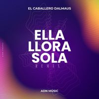 El Caballero Dalmaus - Ella Llora Sola (Remix)